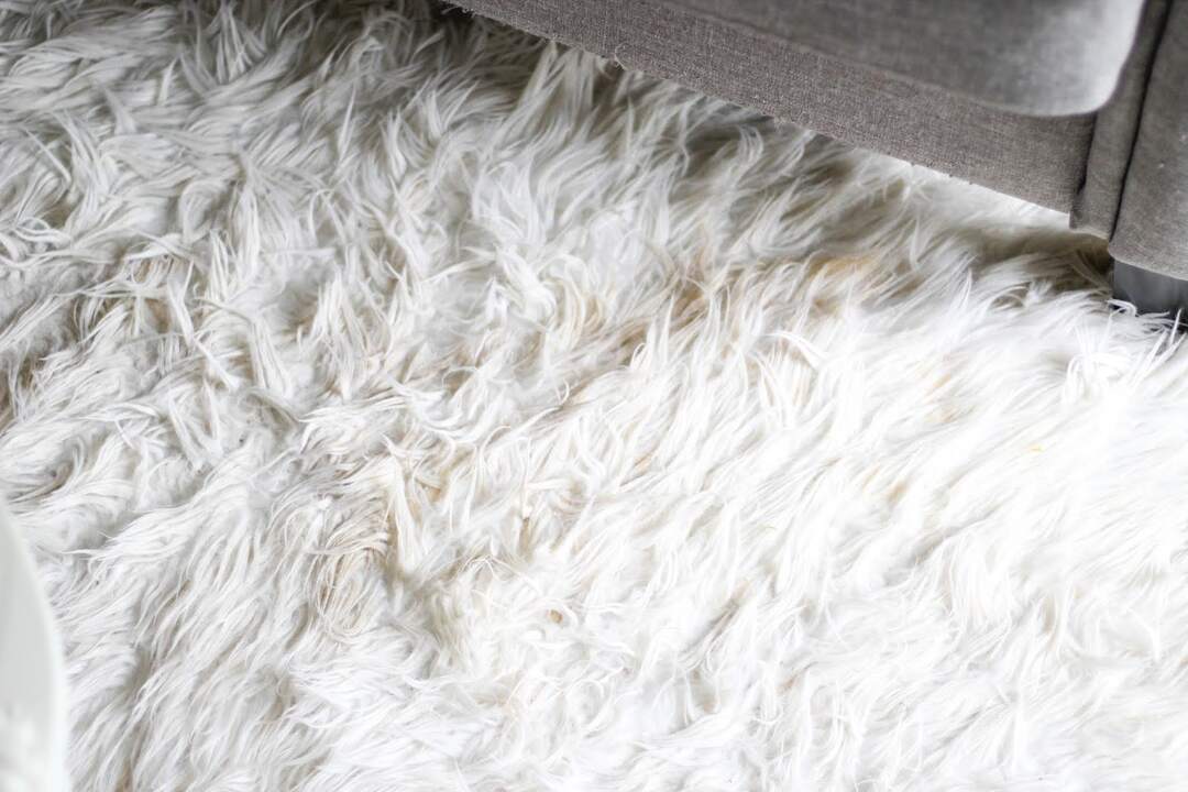 Cara Mencuci Karpet Bulu Sendiri Di Rumah
